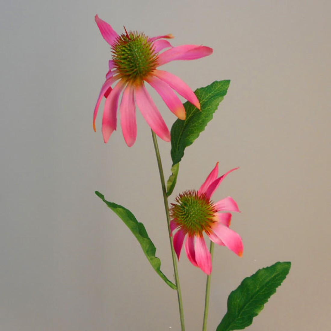 Artificial Rudbeckia Daisies Pink 71cm Artificial Flowers